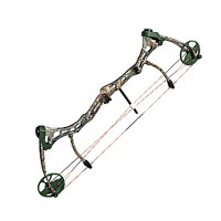 Bear Truth II Young Gun 